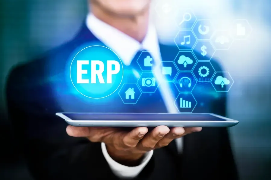 ERP Next Consultancy 